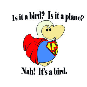 Is it a bird? Is it a plane? Nah! It's a bird.