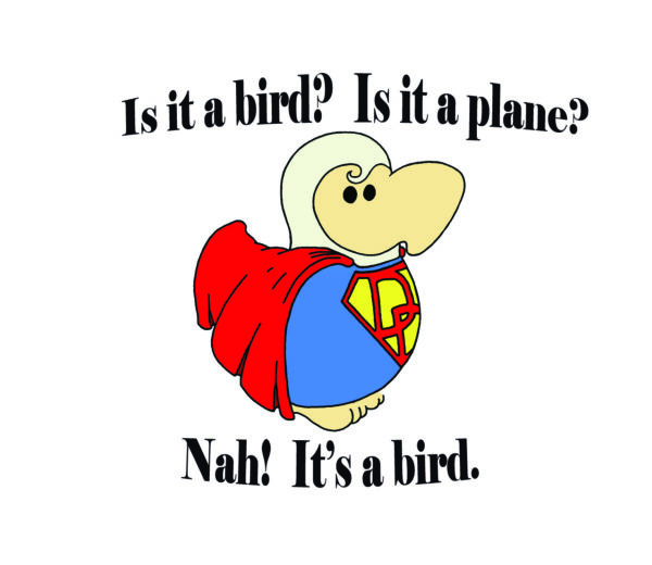 Is it a bird? Is it a plane? Nah! It's a bird.